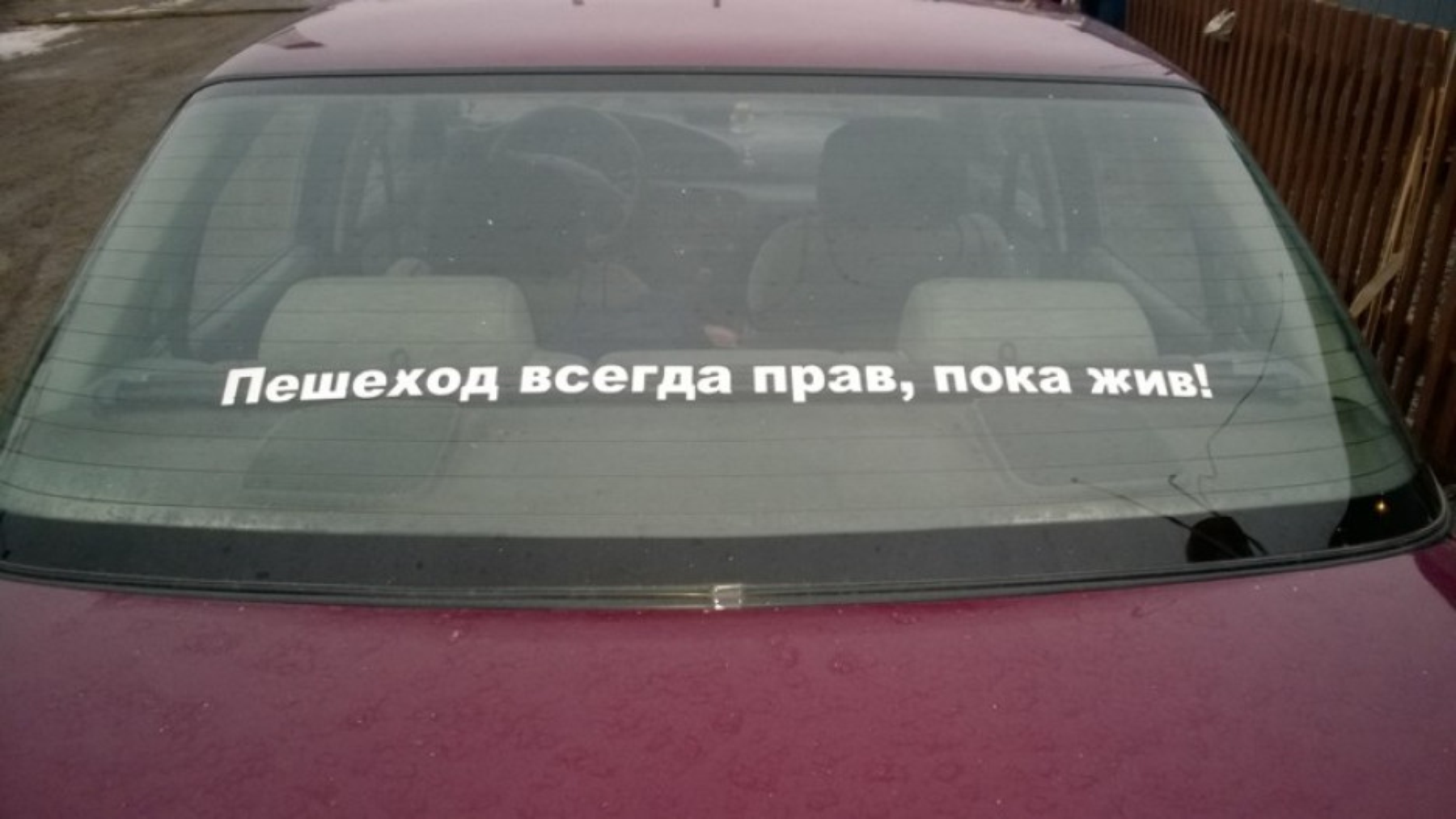 Пешеход всегда прав но не всегда жив картинки