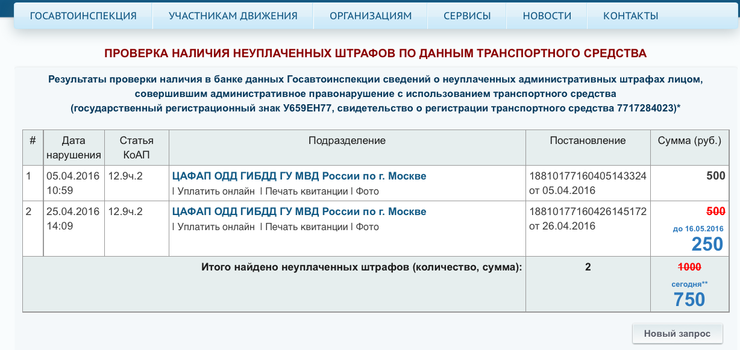 Подбородок между двумя линиями госуслуги образец