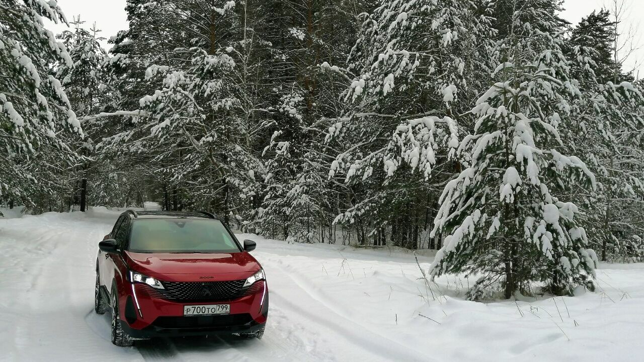 Прочь от безумного мира: духовное путешествие на новом Peugeot 3008 -  АвтоВзгляд