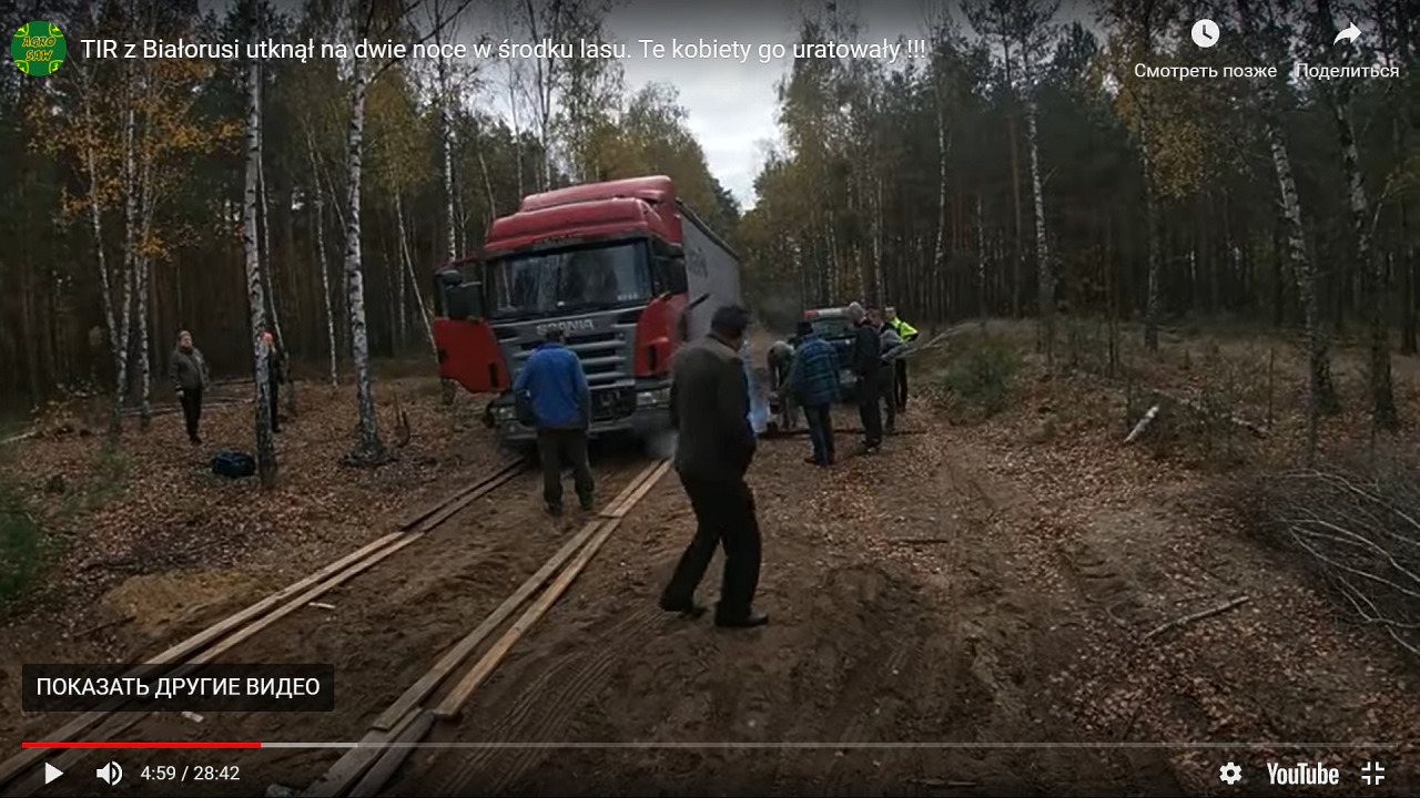 Грибники нашли посреди леса застрявшего дальнобойщика - АвтоВзгляд