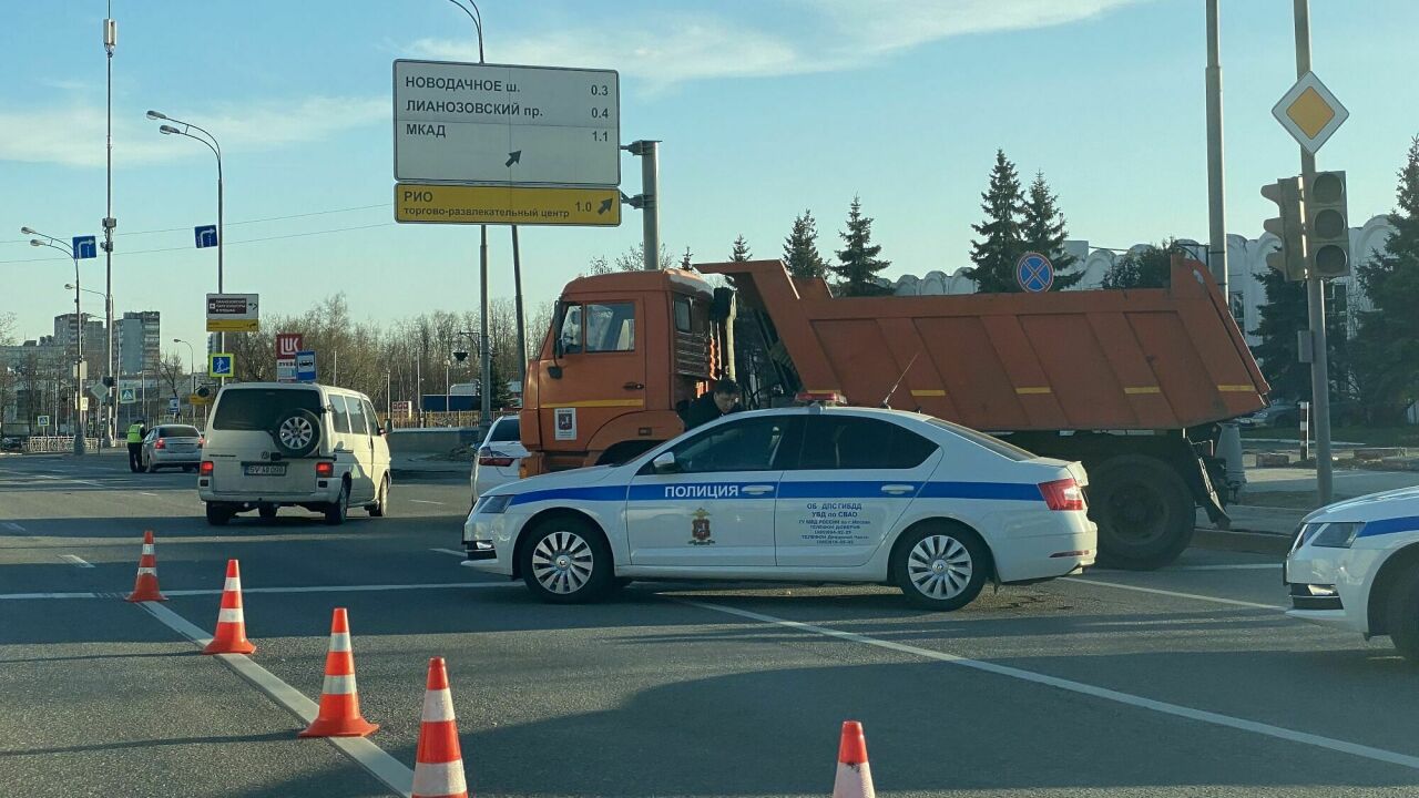 5 аксессуаров в автомобиле, которые дико раздражают полицейских - АвтоВзгляд