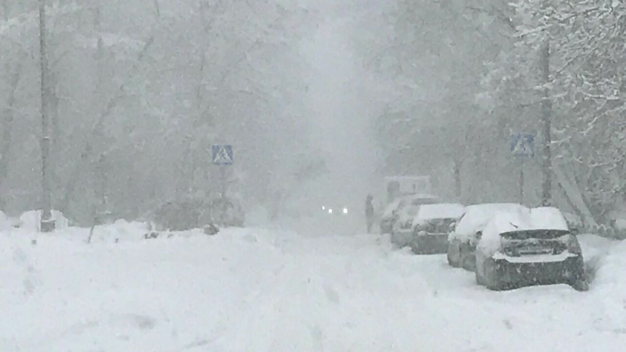 Что будет с машиной, если она простояла всю зиму во дворе - АвтоВзгляд