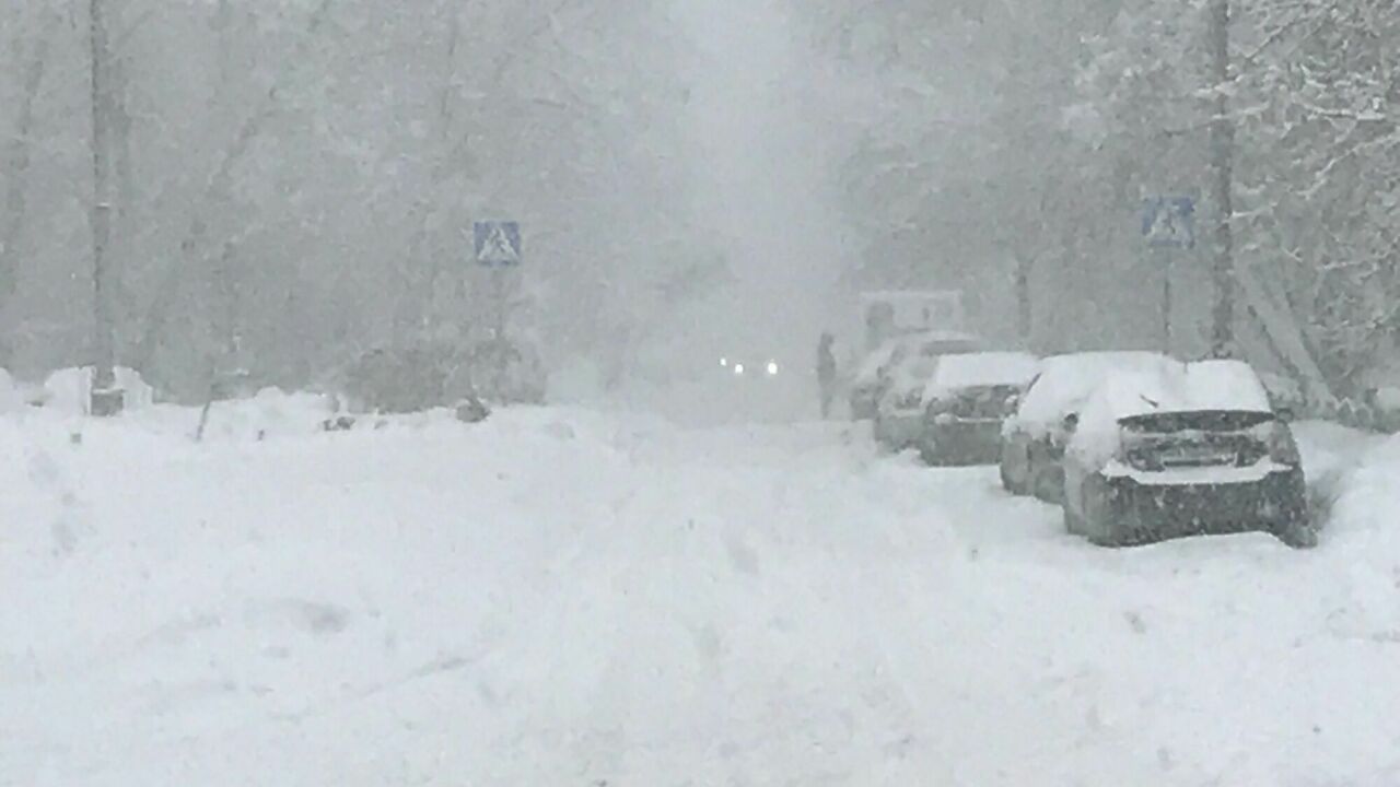 Почему вредно долго прогревать мотор машины - АвтоВзгляд