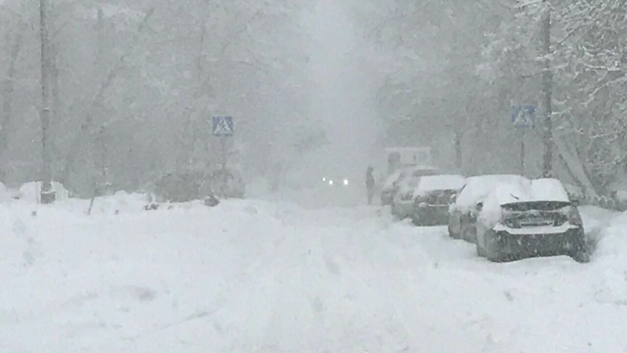 Почему включать автомобильный кондиционер зимой не только можно, но и нужно  - АвтоВзгляд