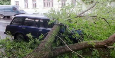 Что делать, если в салон попала вода после дождя