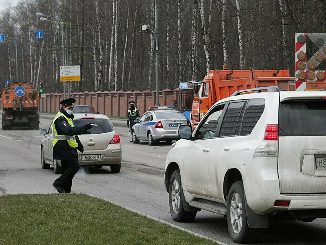 Канистра с бензином и другие самые обычные вещи в авто, за которые можно  нарваться на штраф с конфискацией - АвтоВзгляд