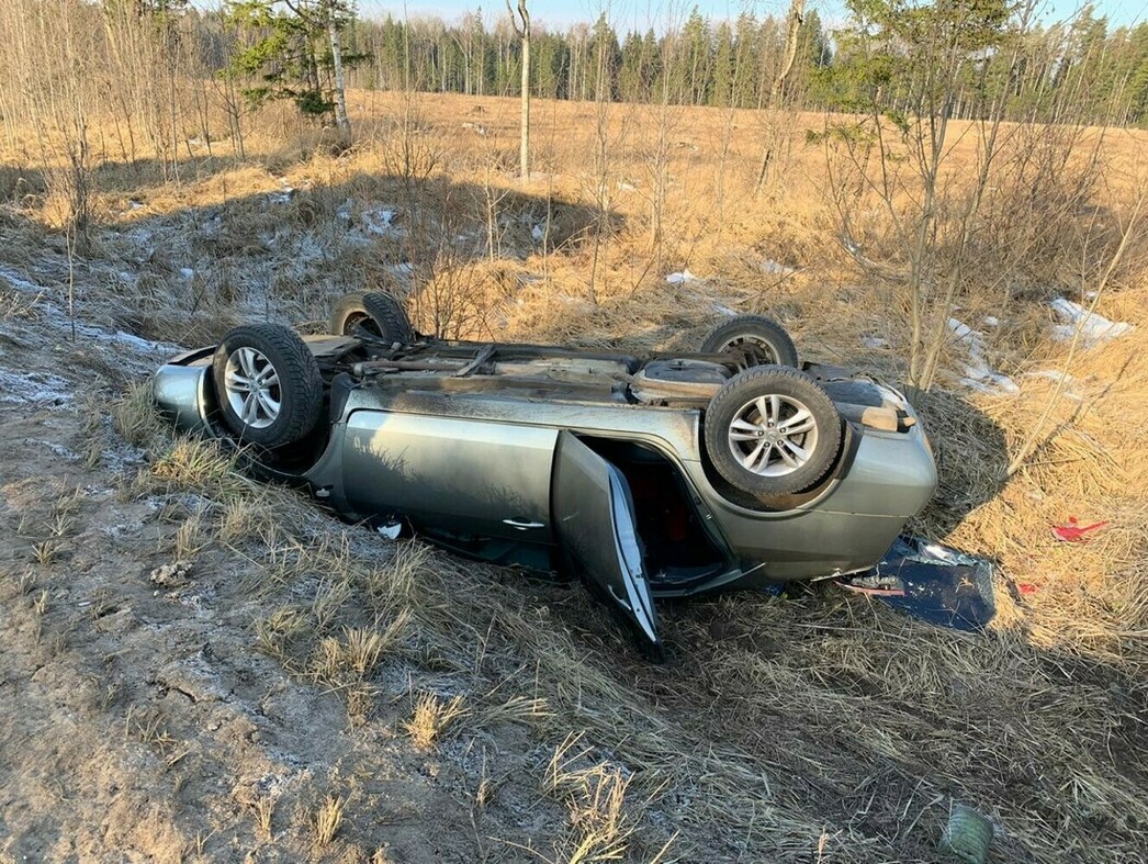 Что делать водителю, сбившему пешехода, выбежавшего из-за грузовика в  неположенном месте - АвтоВзгляд